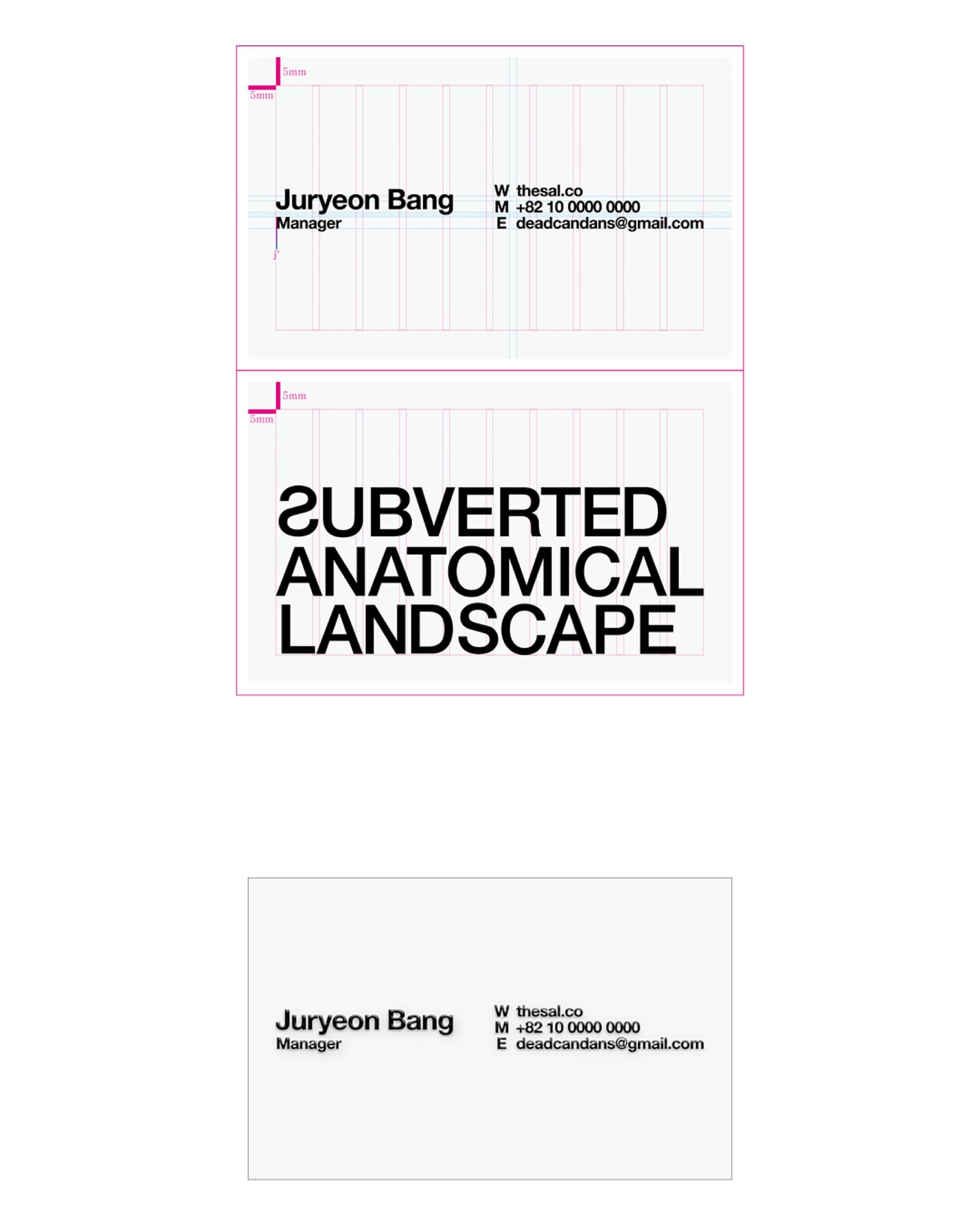 Subverted Anatomical Landscape BusinessCard - 4