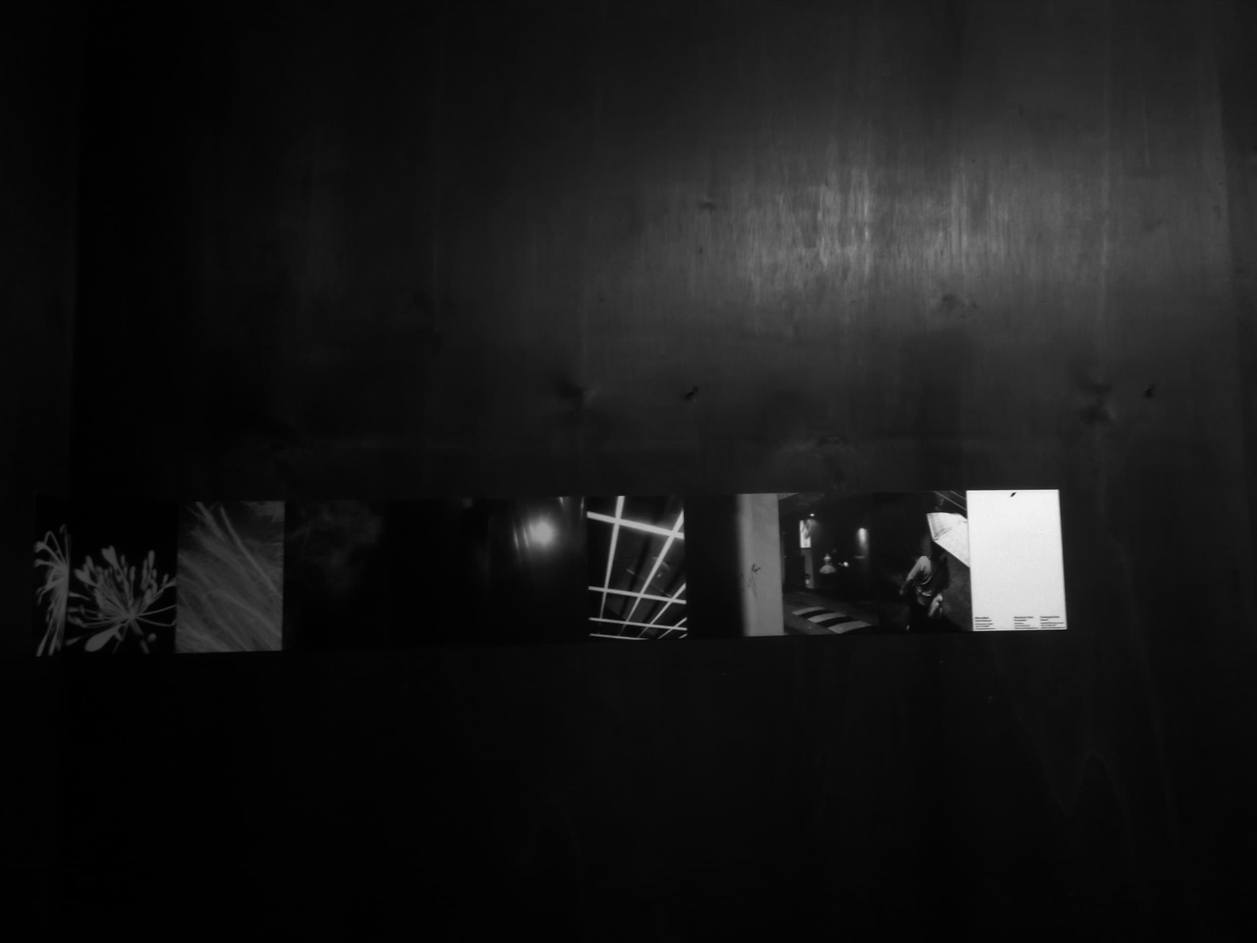 TTB x Bite Poets x Garb - 18