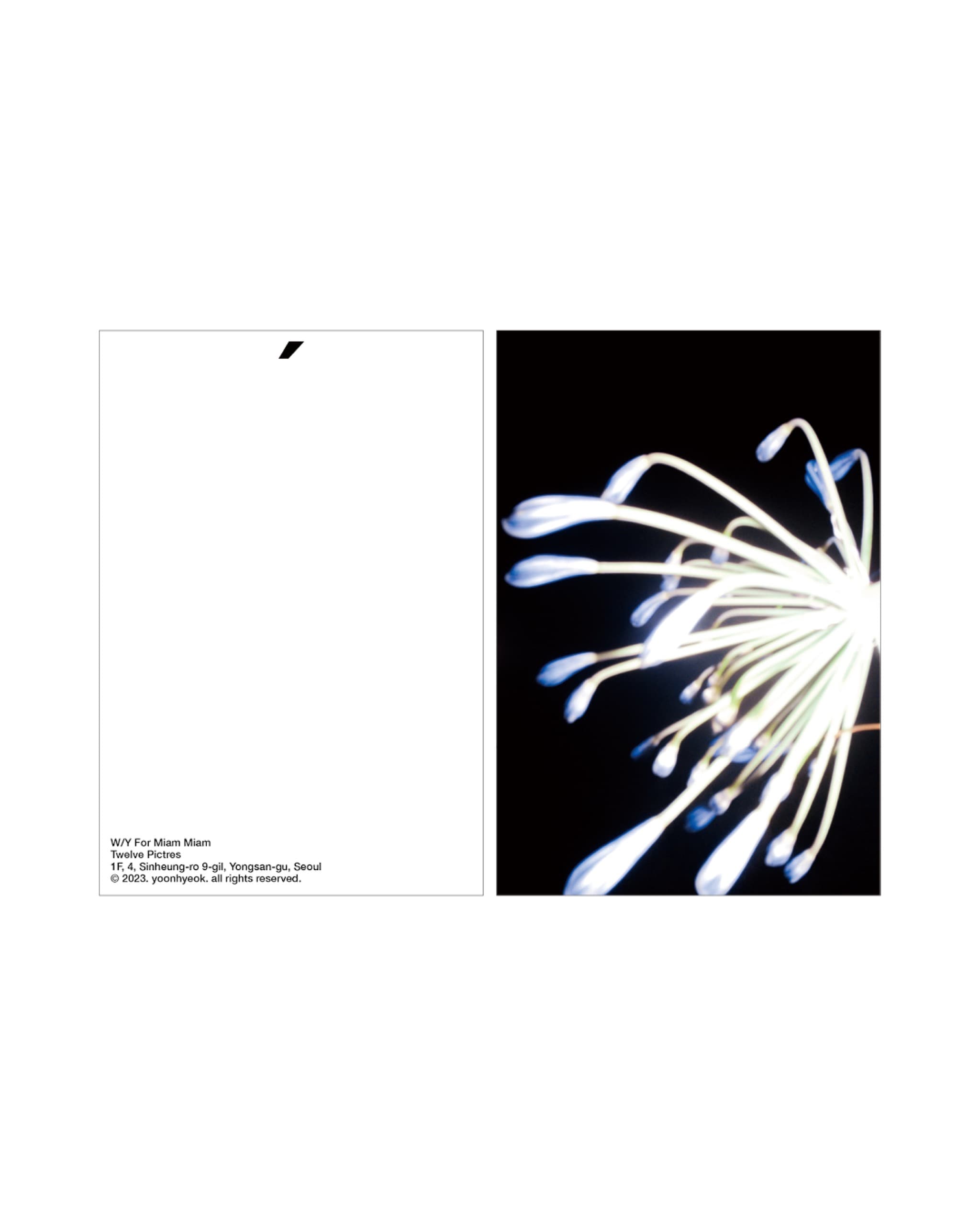 사진가 최원혁 ≪MiamMiam≫ - 3