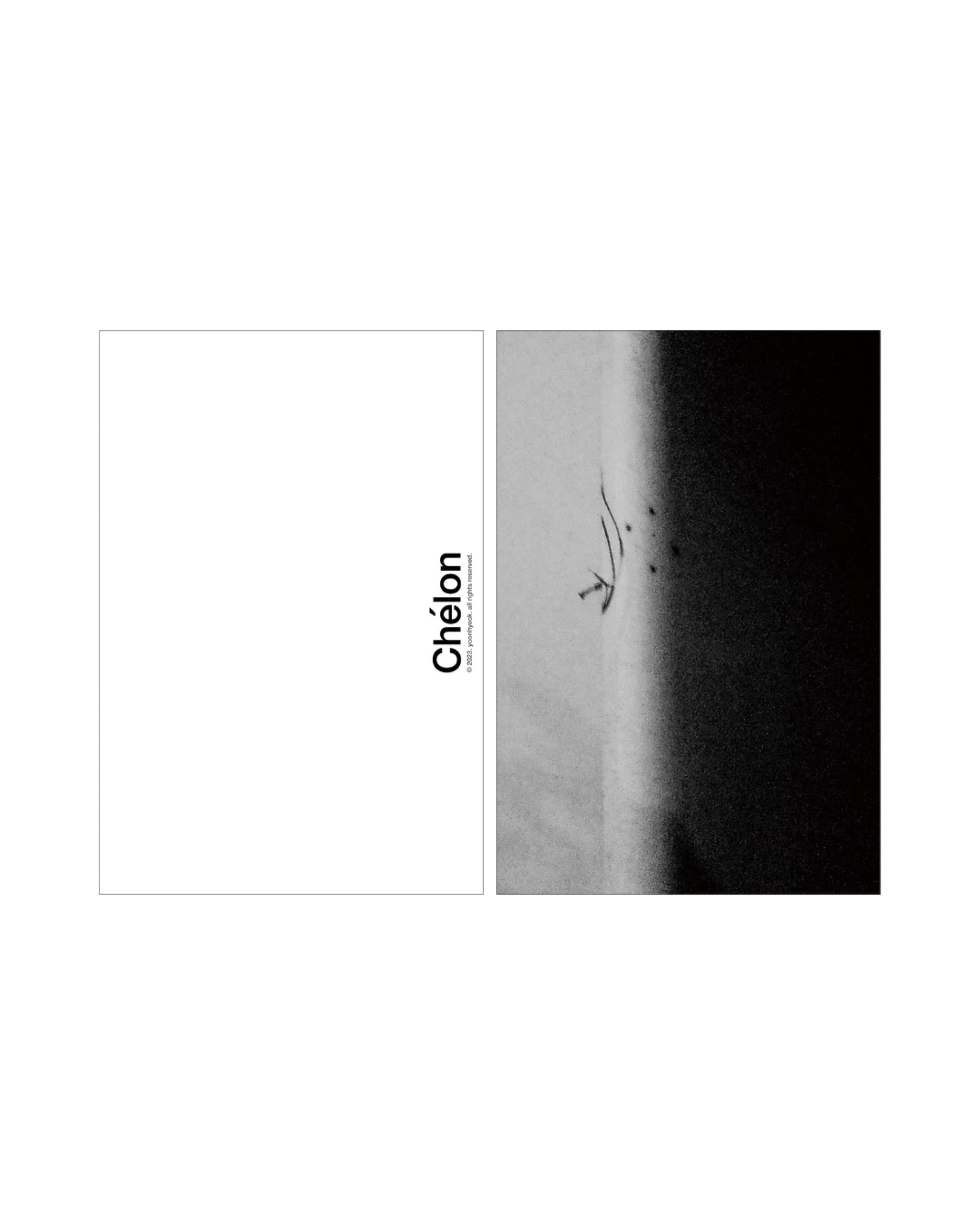 사진가 최원혁 ≪MiamMiam≫ - 7