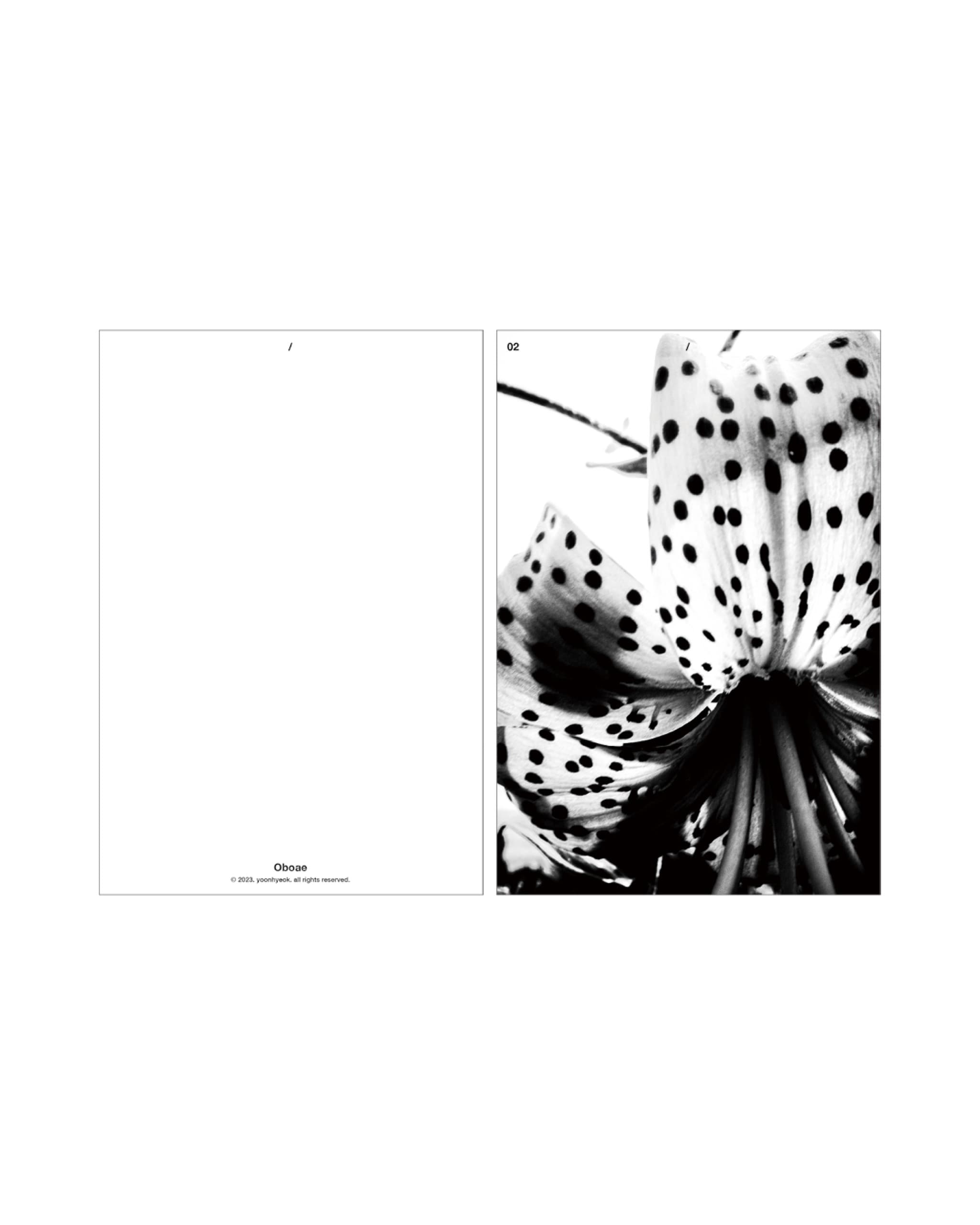 Oboae x 사진가 최원혁 - 5