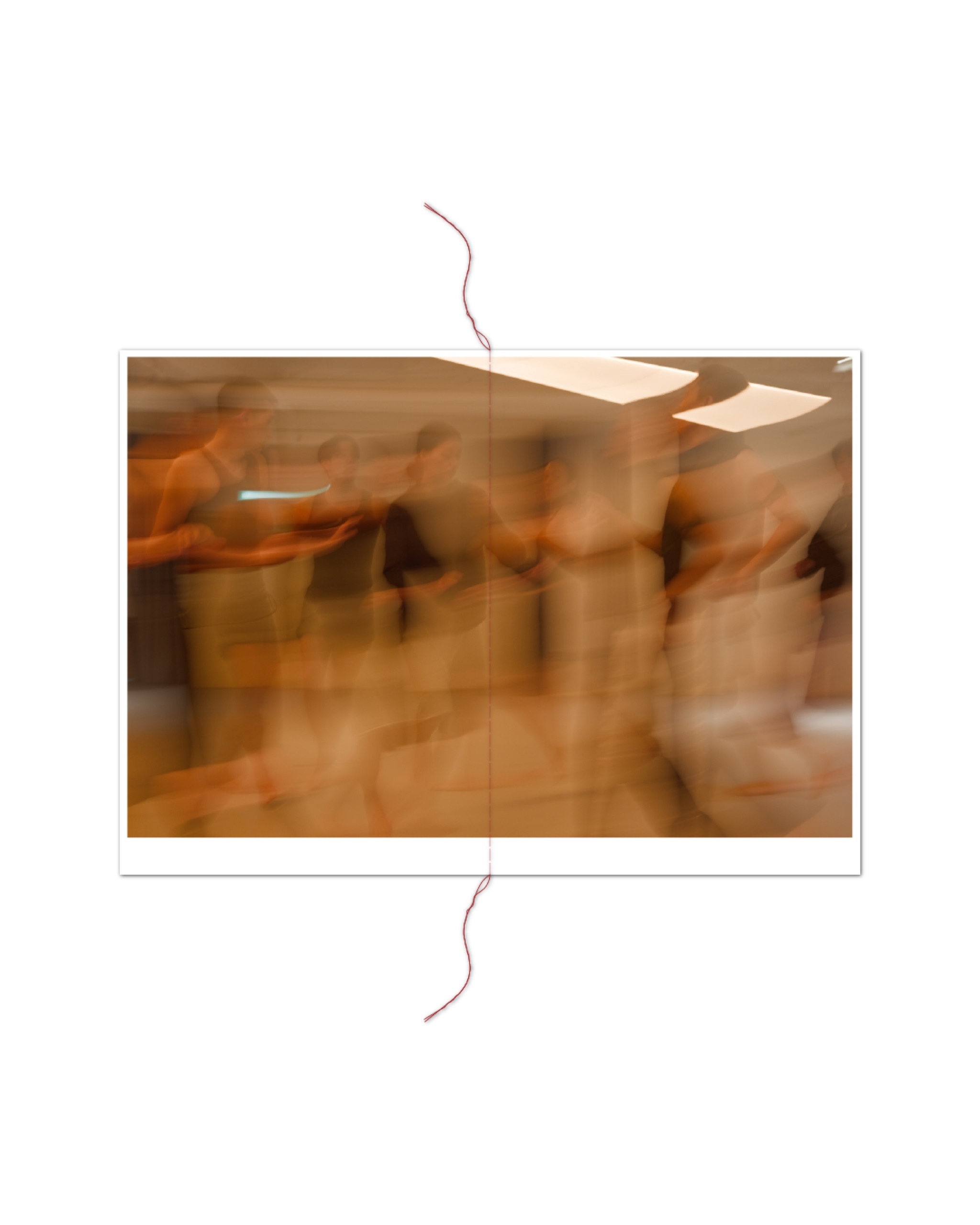 Subverted Anatomical Landscape ≪GAMMA≫ - 16