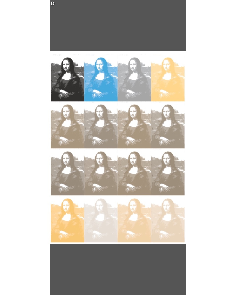 Divergent Consequences With Single Image - 5
