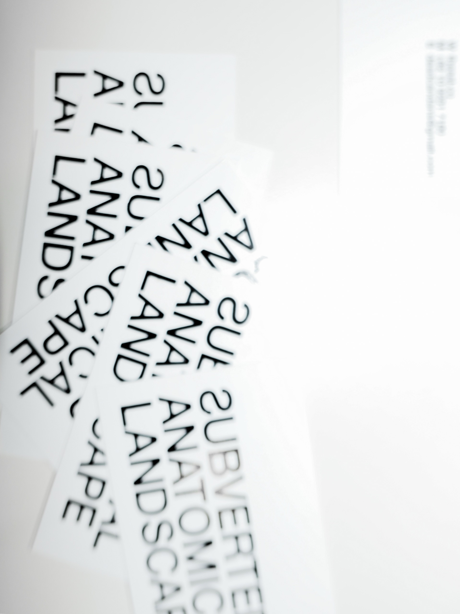 Subverted Anatomical Landscape BusinessCard - 6