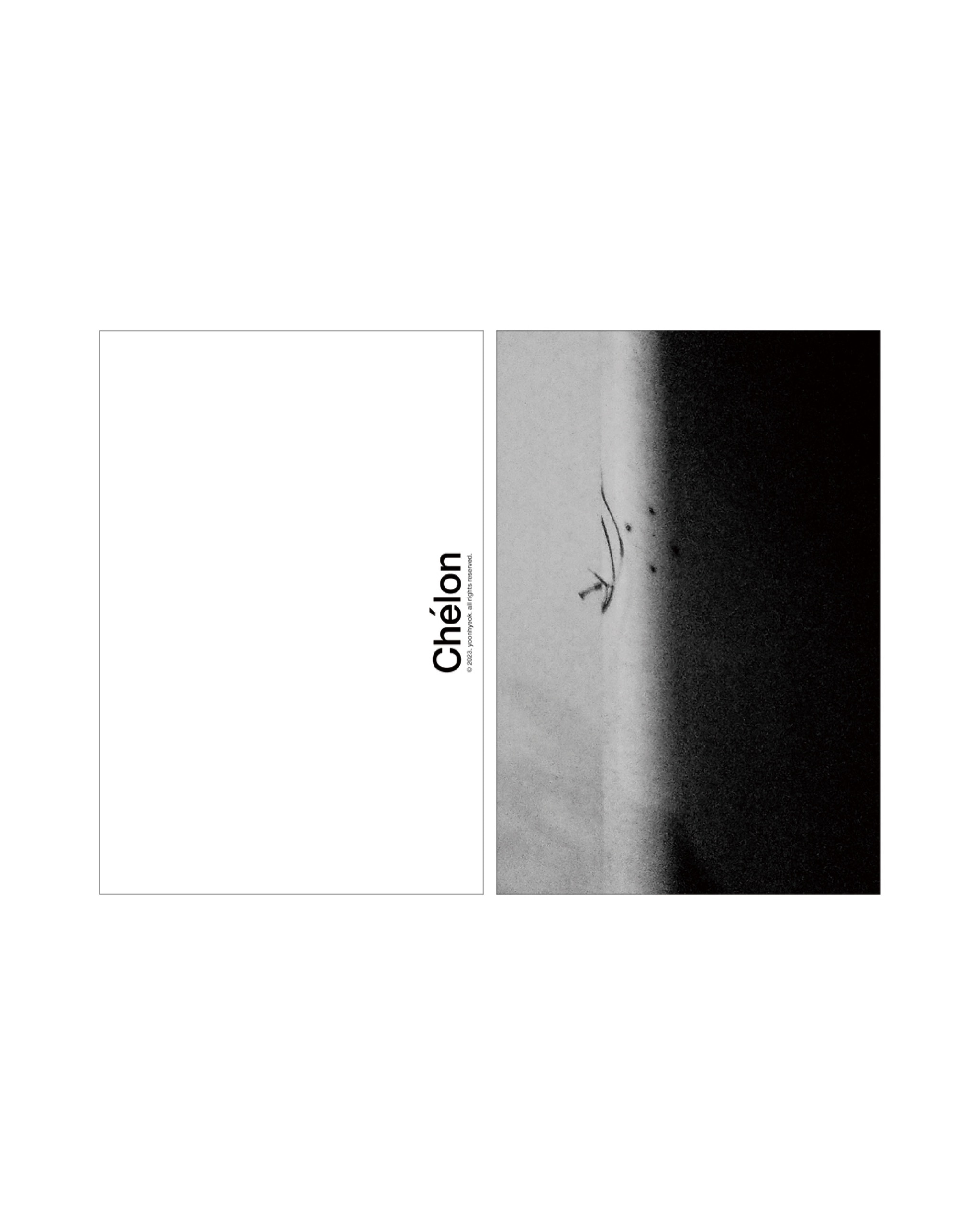 사진가 최원혁 ≪MiamMiam≫ - 7