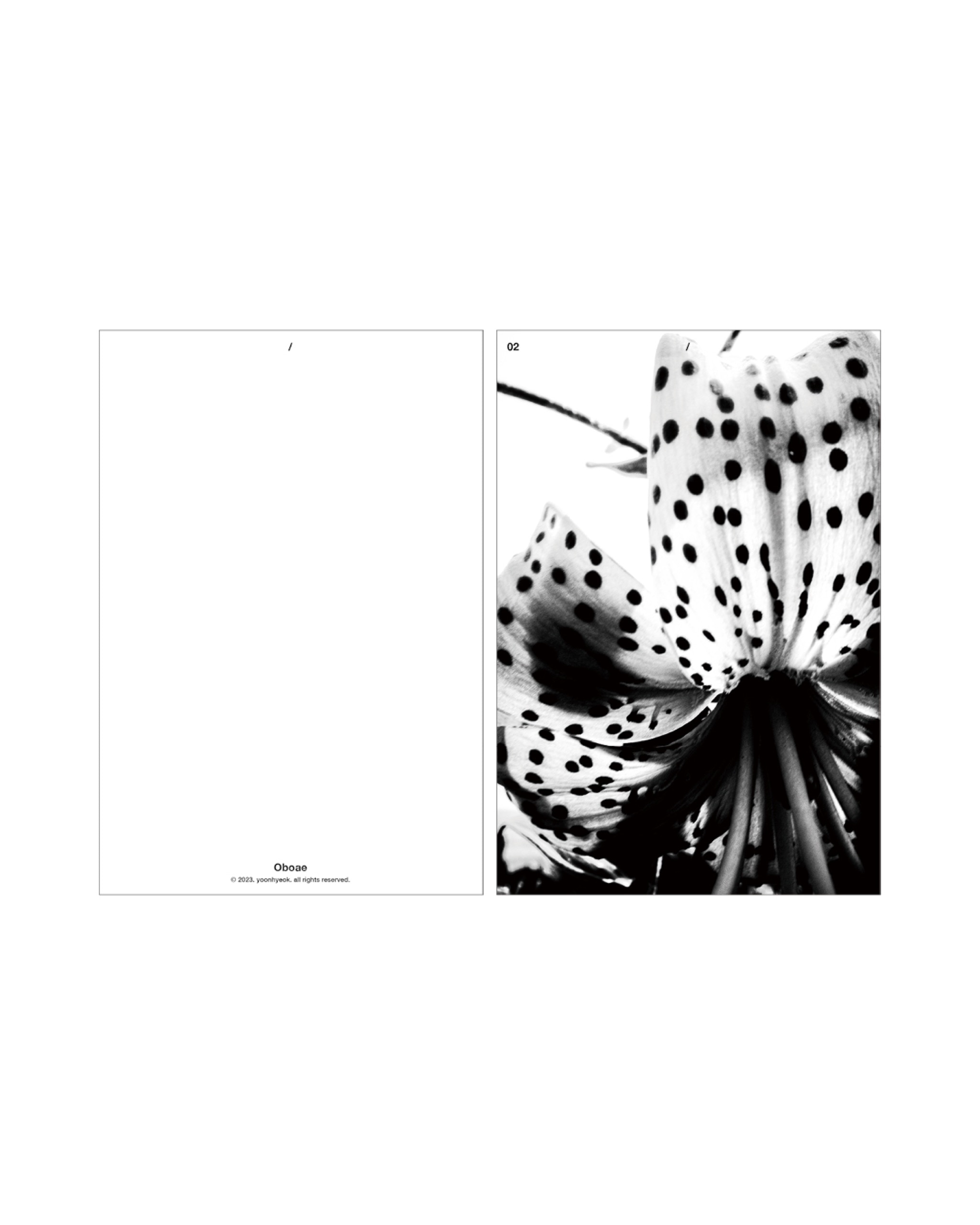 Oboae x 사진가 최원혁 - 5