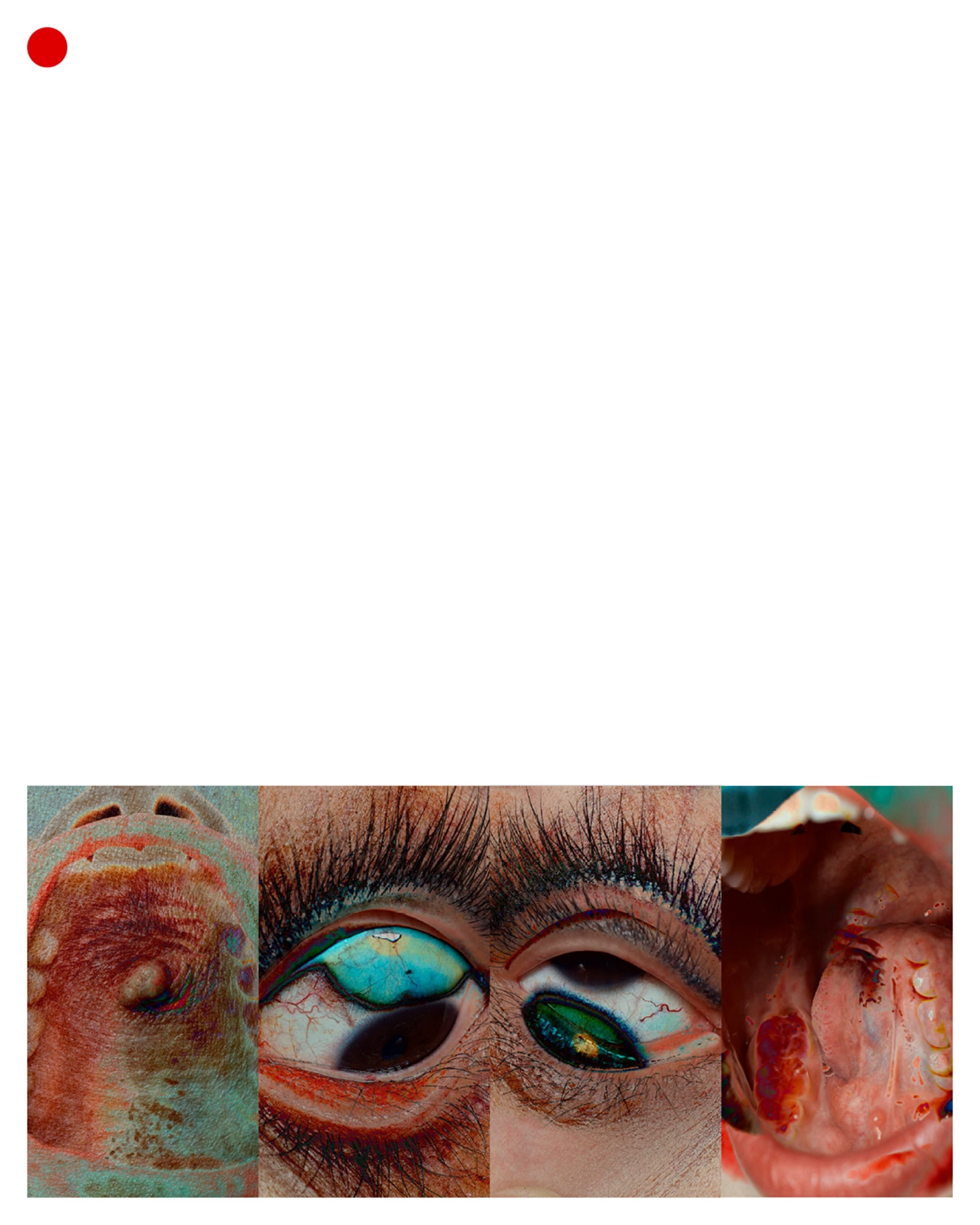 Subverted Anatomical Landscape ≪KILL≫ - 6